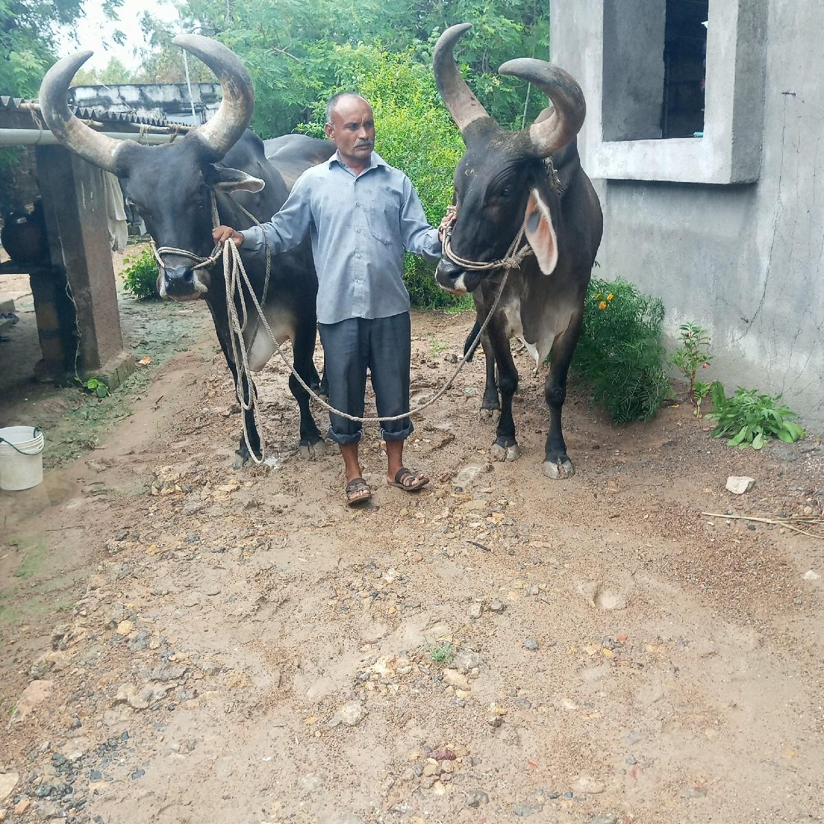 થંબનેલ 3