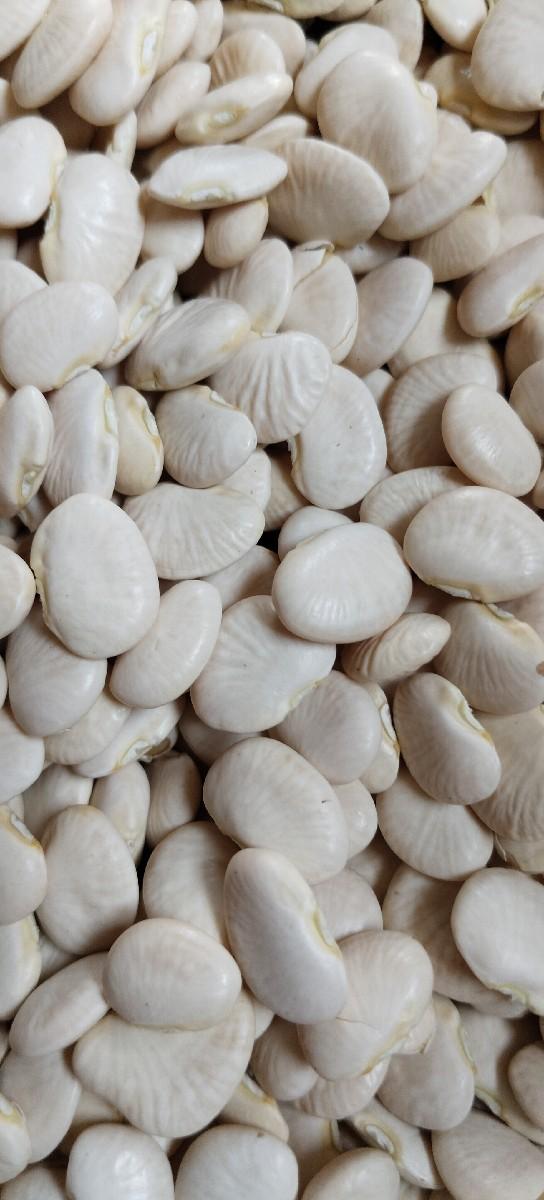 વાલ ટુકડી.      ચણા ત્રણ નંબ,3 કાબુ