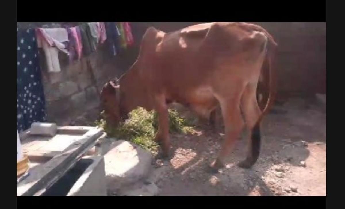 જુનાગઢ જિલ્લો ગામ