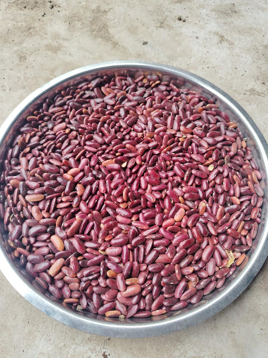 રાજમાં વેચવાના છે