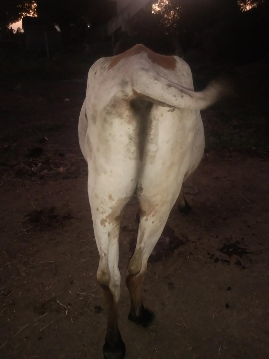 थंबनेल 3