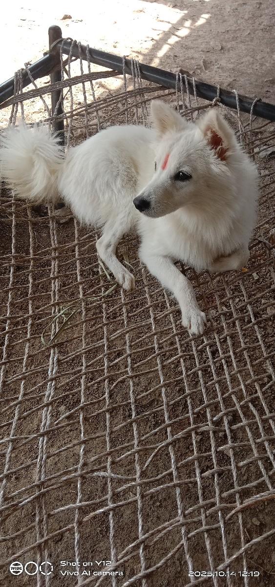 થંબનેલ 2