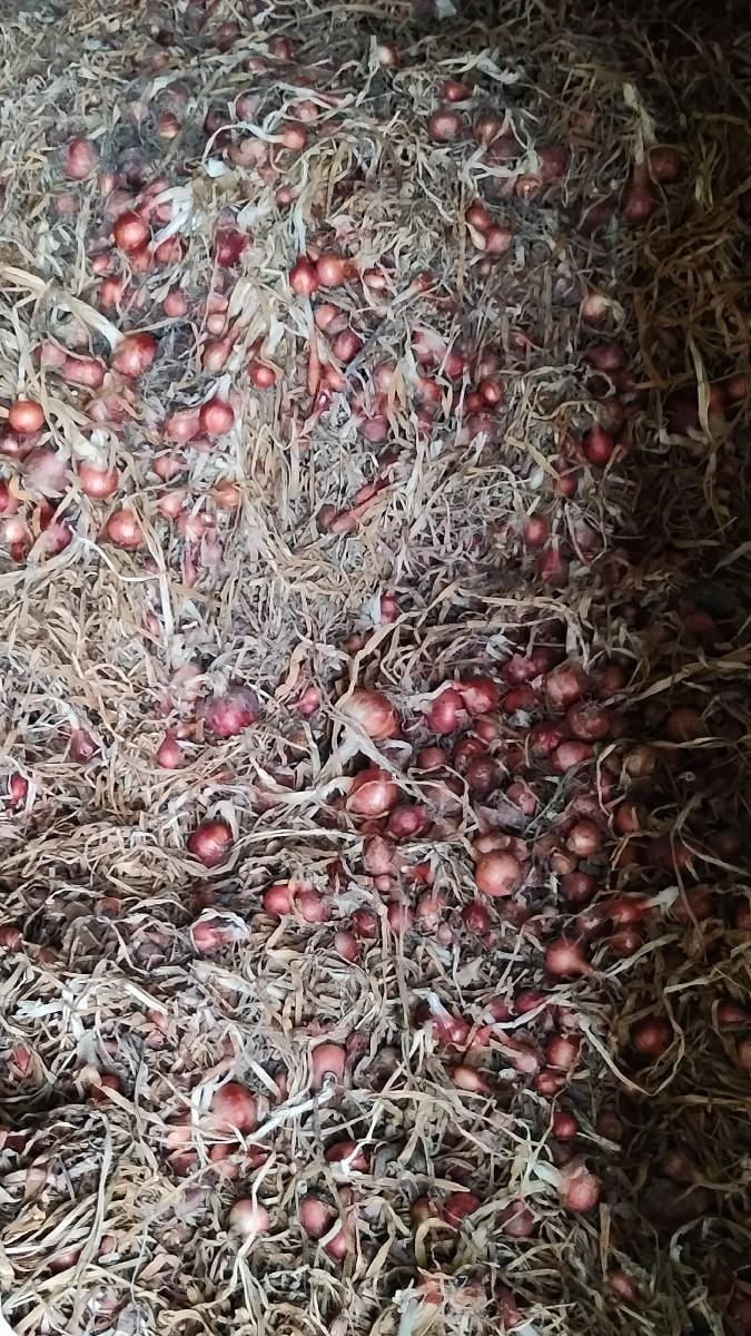 थंबनेल 3