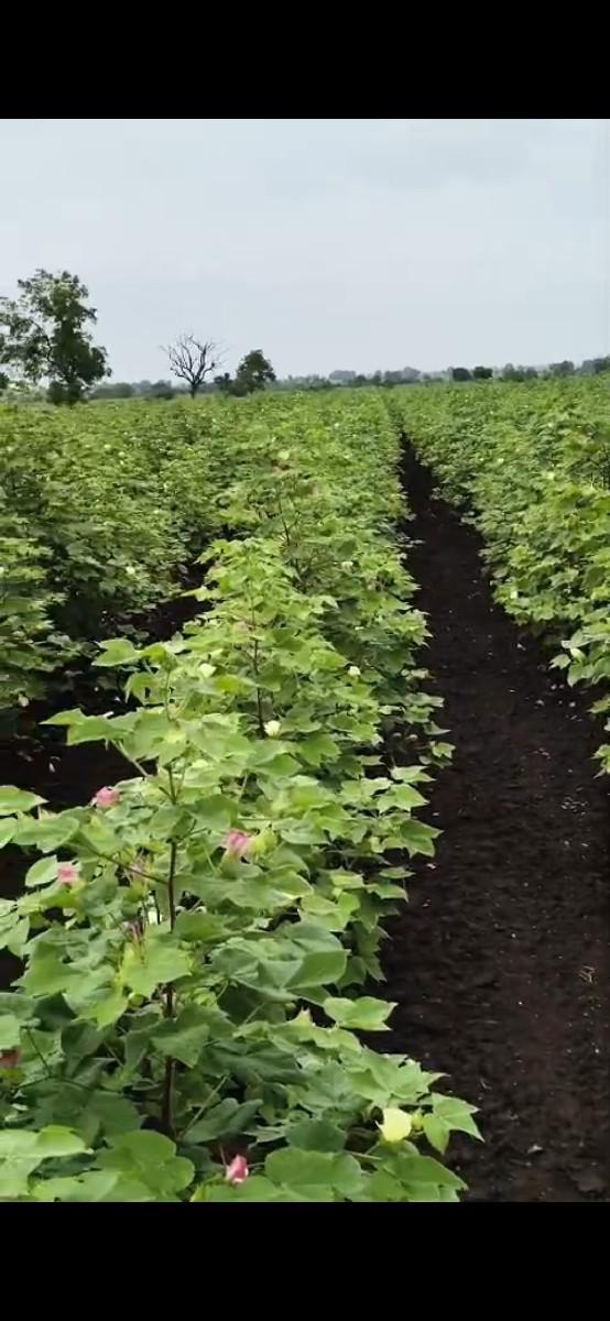 જમીન વેચવા ની છે