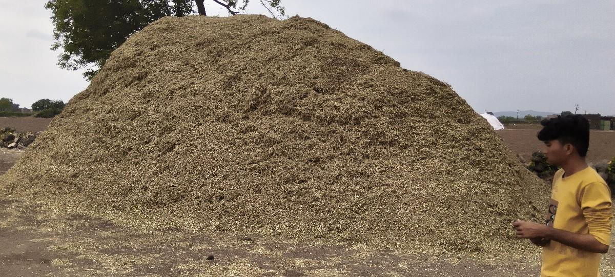 કેબીન દેવાની સે