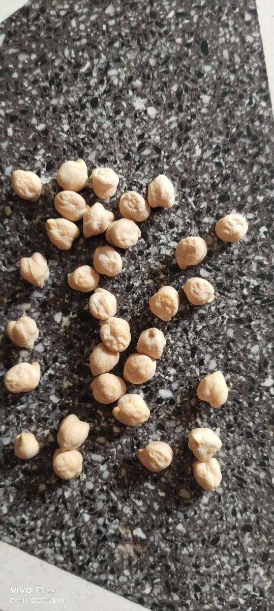 બીટુ ચણા બિયારણ માટે વેચવાના છે ભાવ