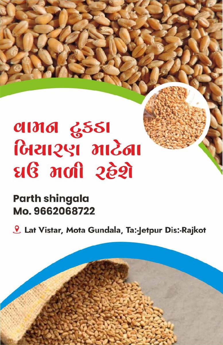 ધઉ નુ બિયારણ માટે