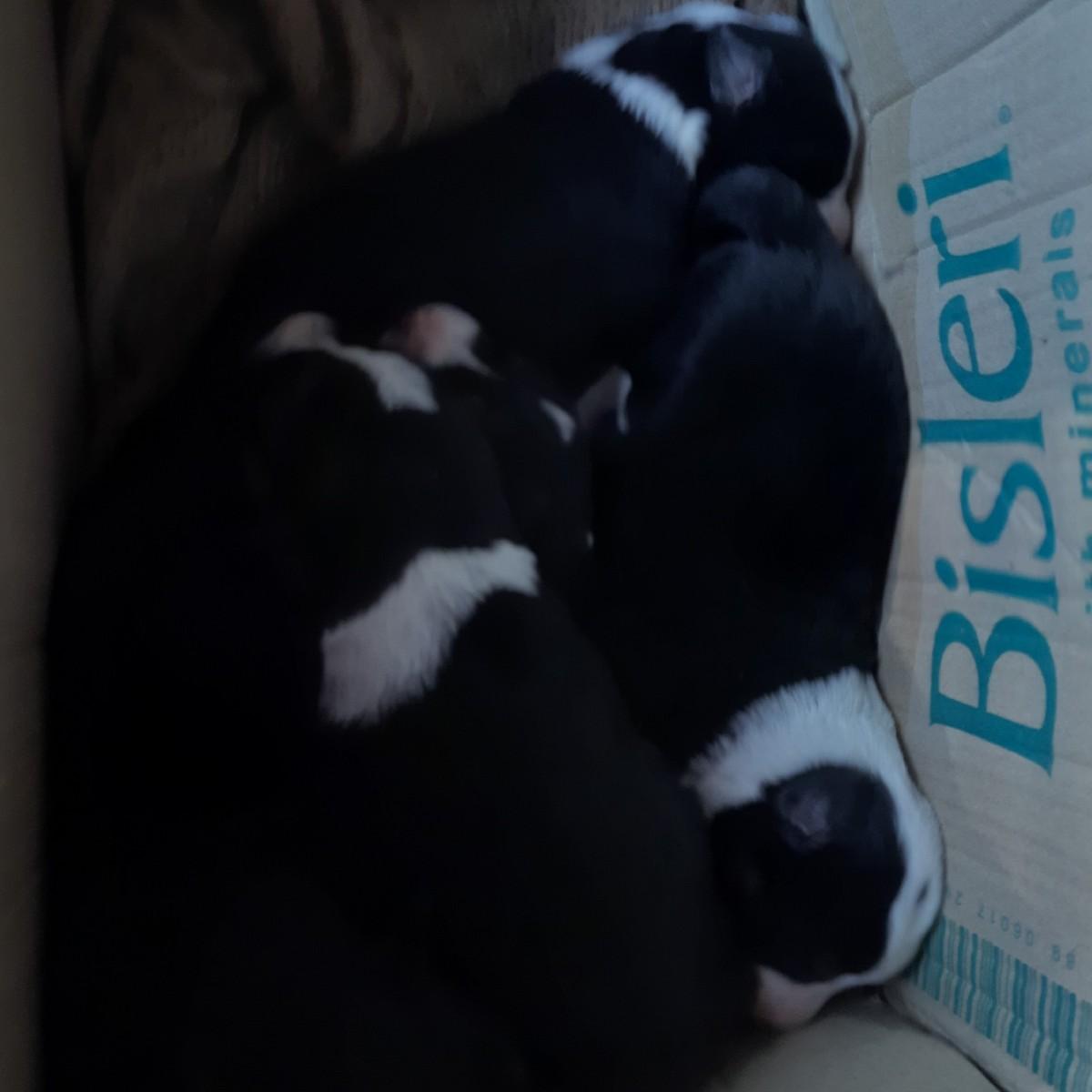 थंबनेल 2