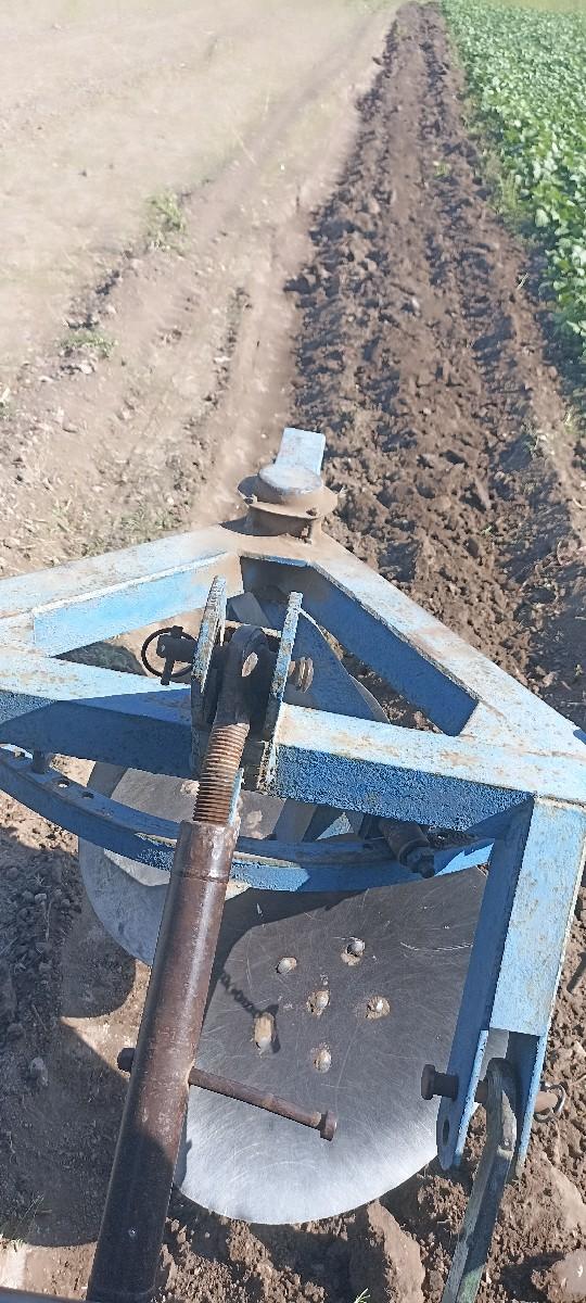 ડીસૂ વેસવા ની  શે