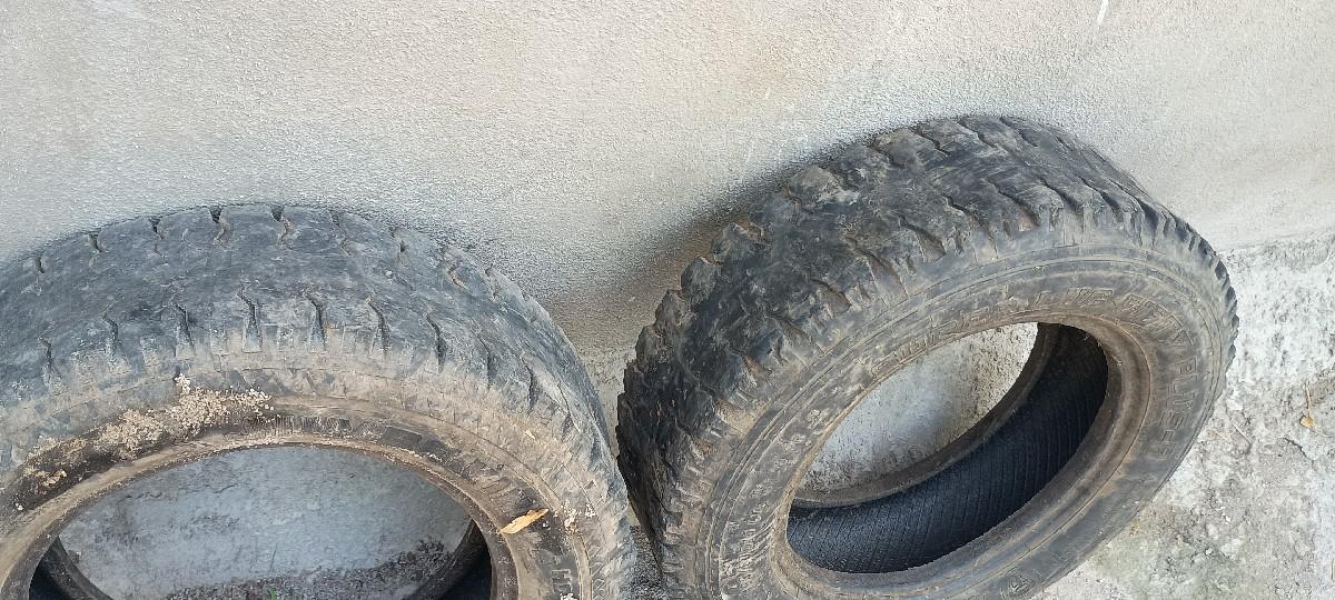 થંબનેલ 3