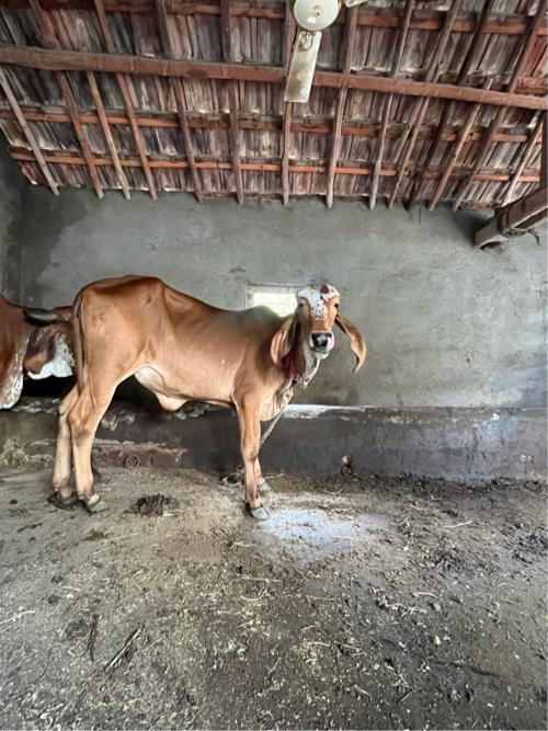 थंबनेल 2