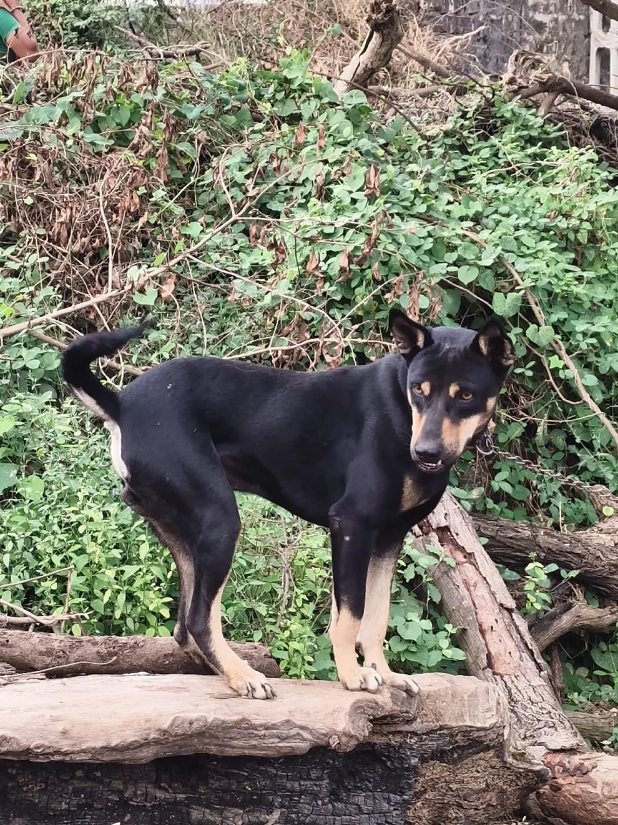 थंबनेल 2