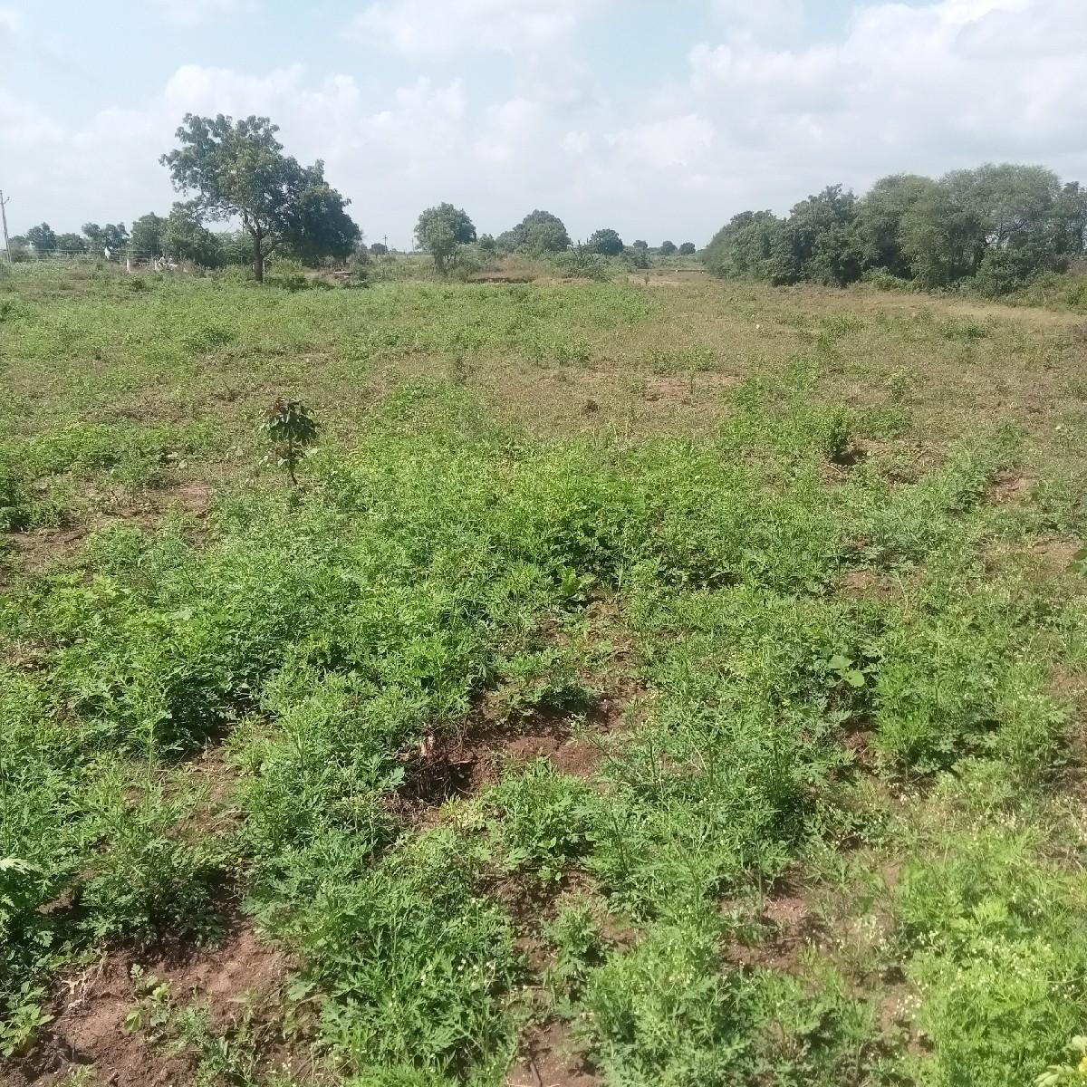 રોડ ટચ જમીન વેચવાની છે