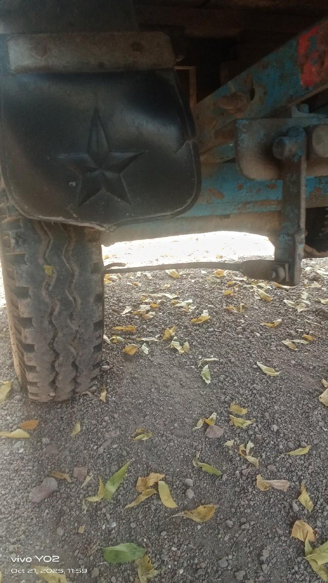 થંબનેલ 3