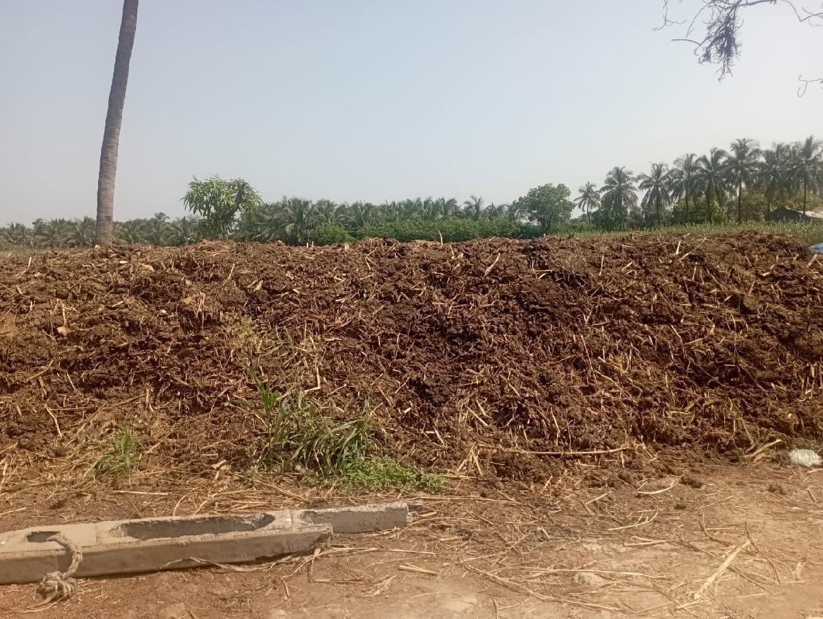 છાણિયું ખાતર