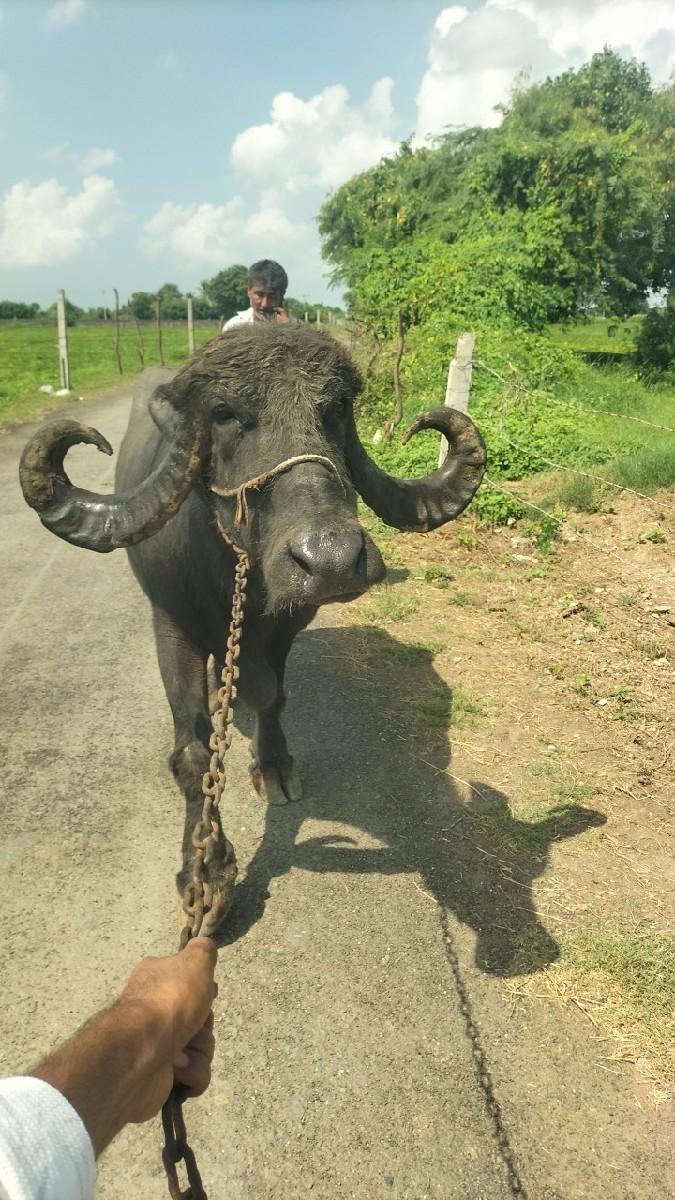 થંબનેલ 3