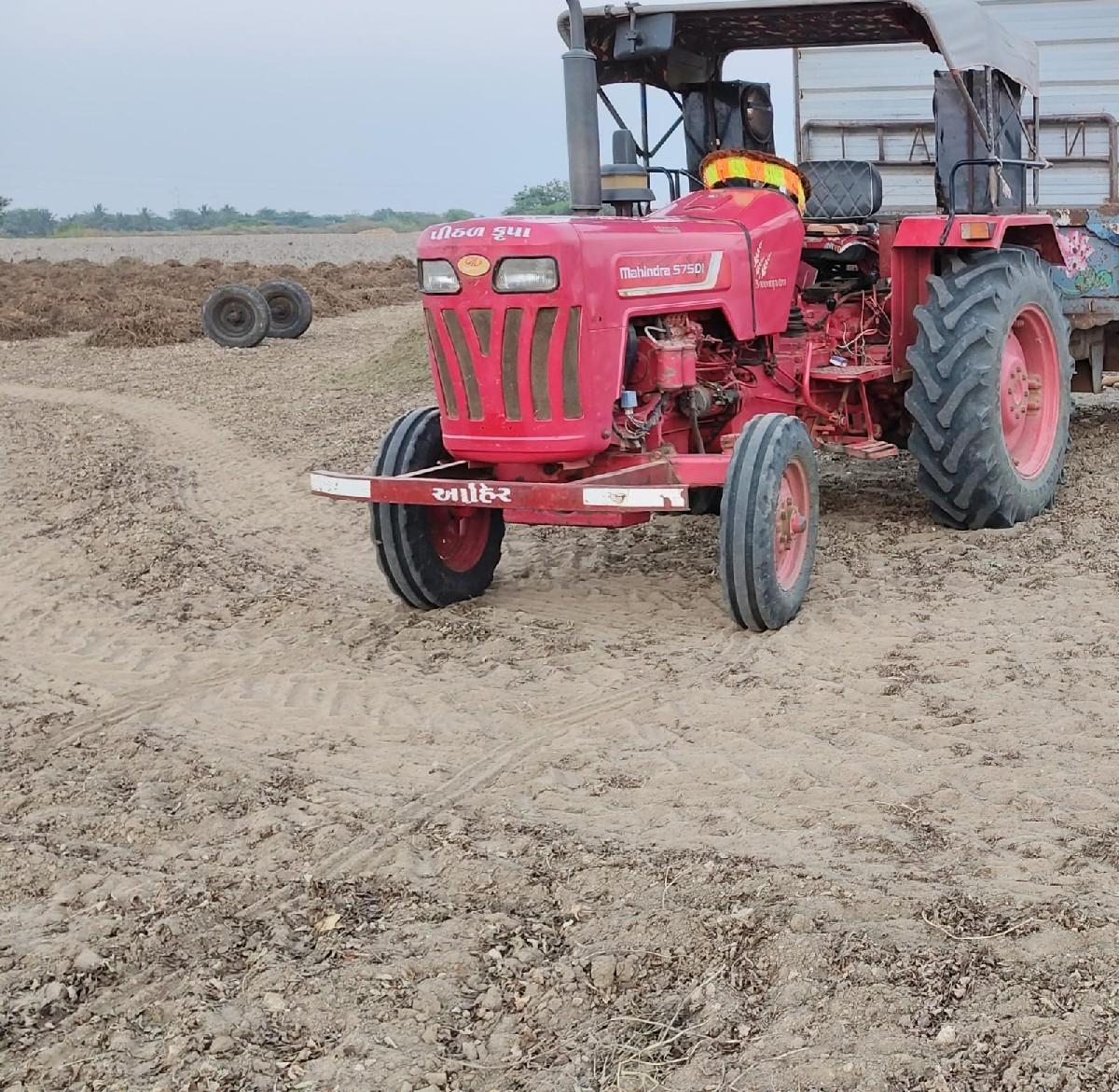 ભૂમિ પુત્ર