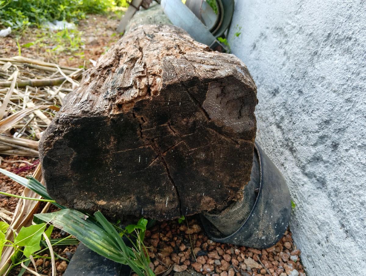 ભારોટ વેચવાનો છે