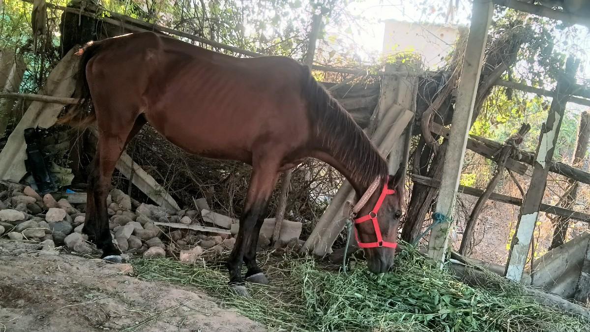 થંબનેલ 3