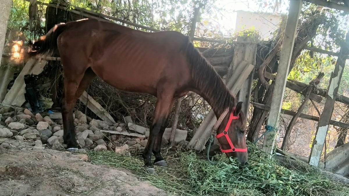 થંબનેલ 2