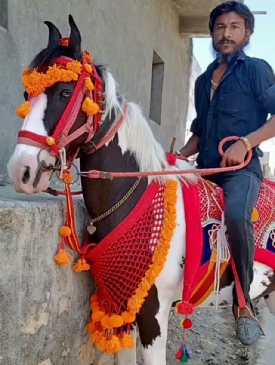 marwadi.ghodi.vechvani che.