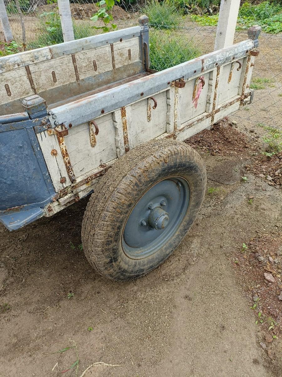 થંબનેલ 2