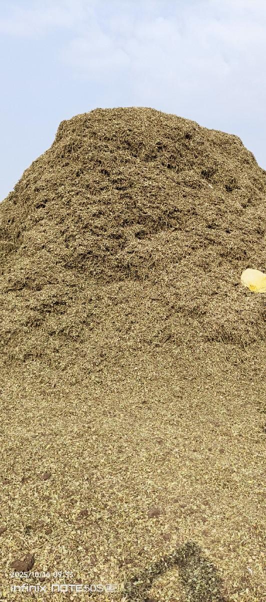 ચુકો  પાલો સે 18 વિઘા નો