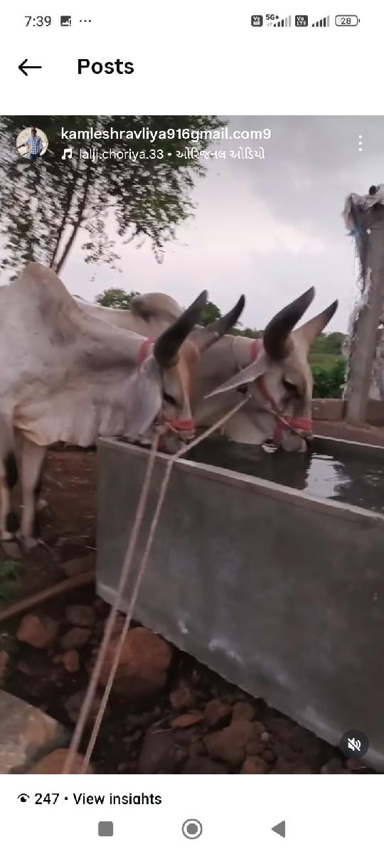 थंबनेल 2