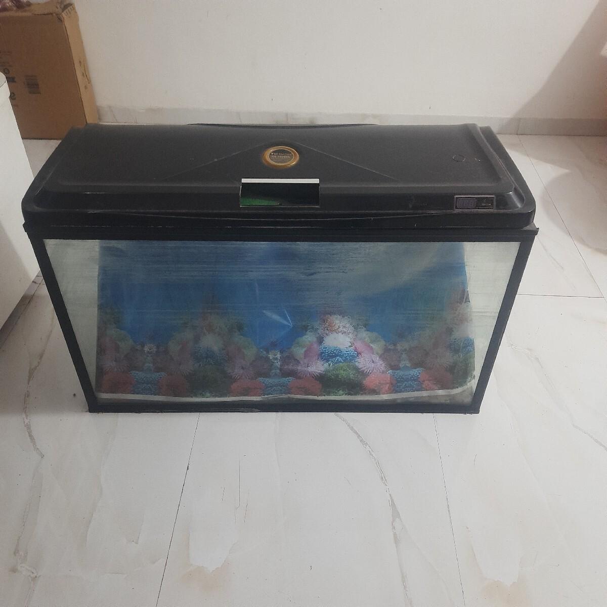 थंबनेल 5