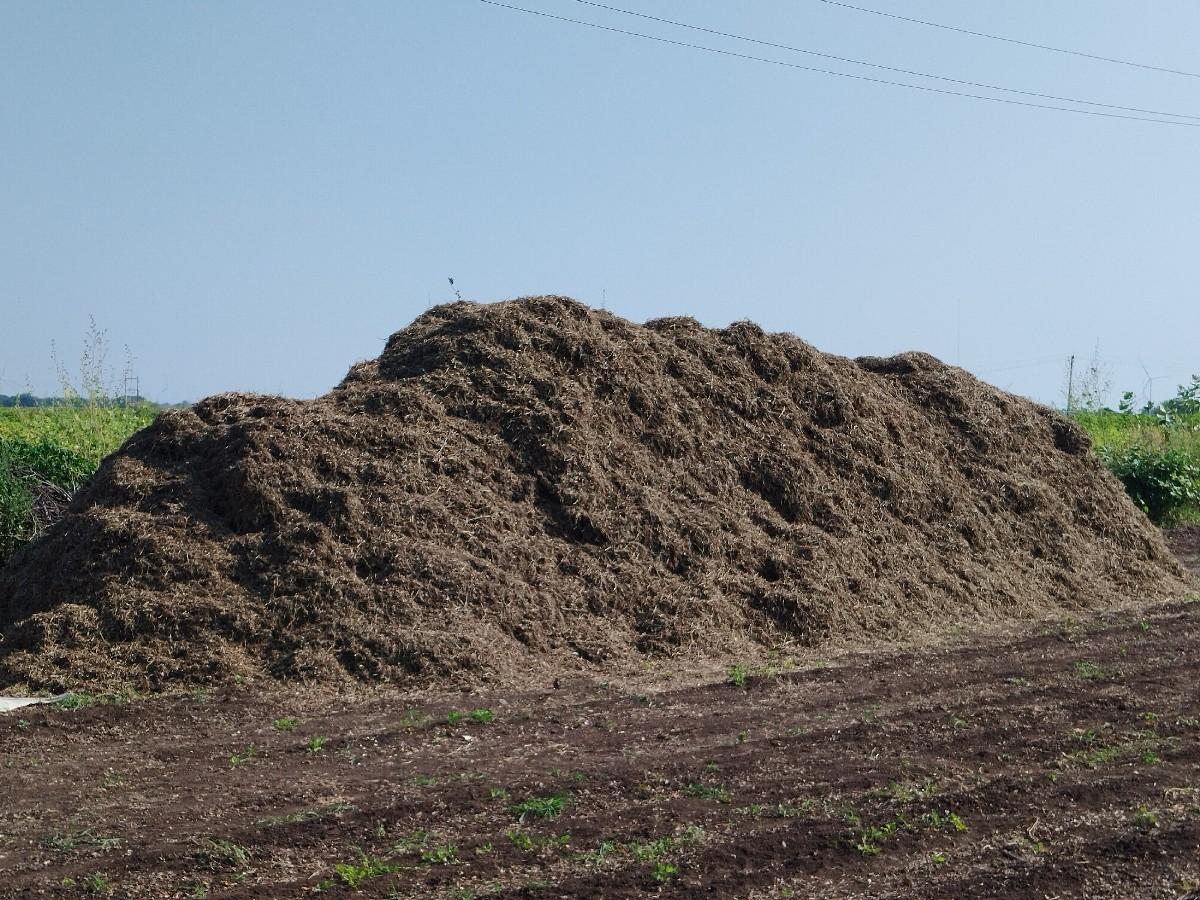 વેચવાનો છે