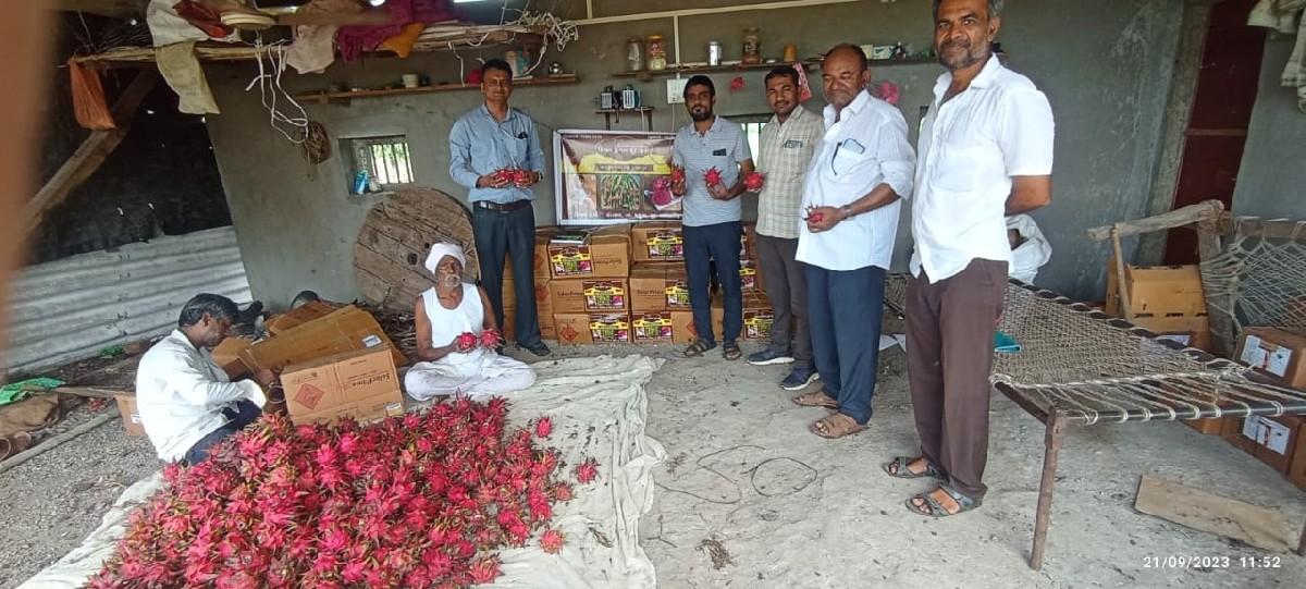 થંબનેલ 3