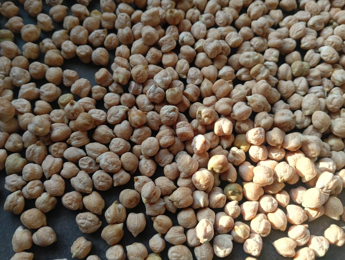 બીટુ ચણા