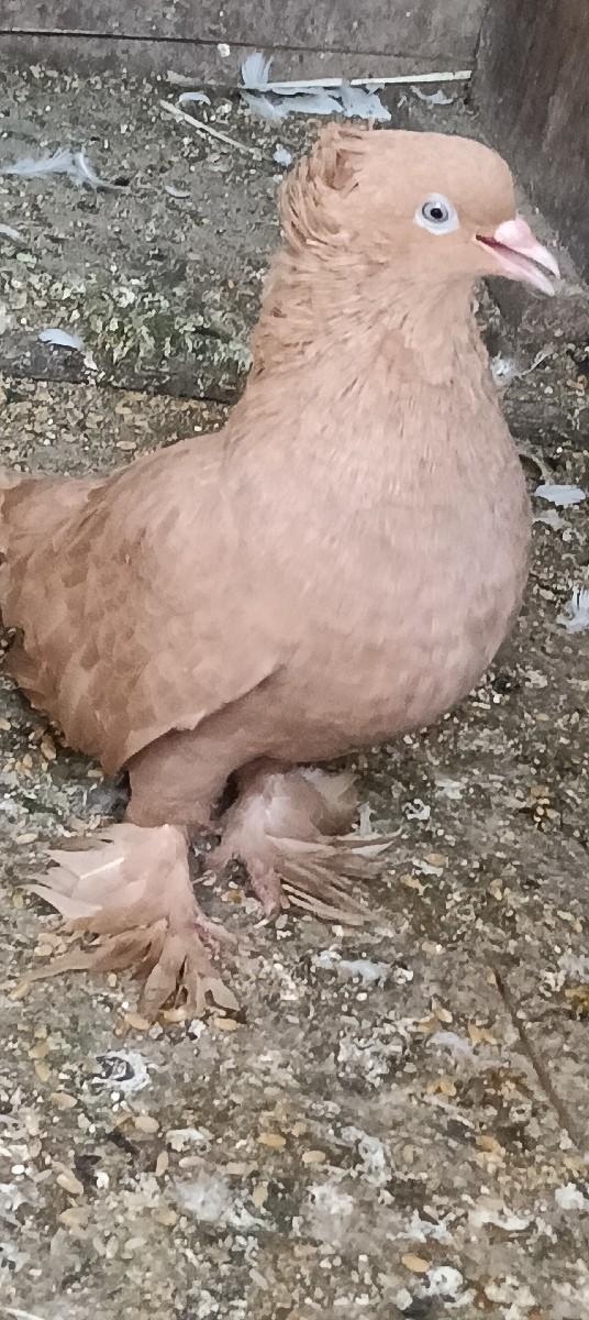 थंबनेल 2