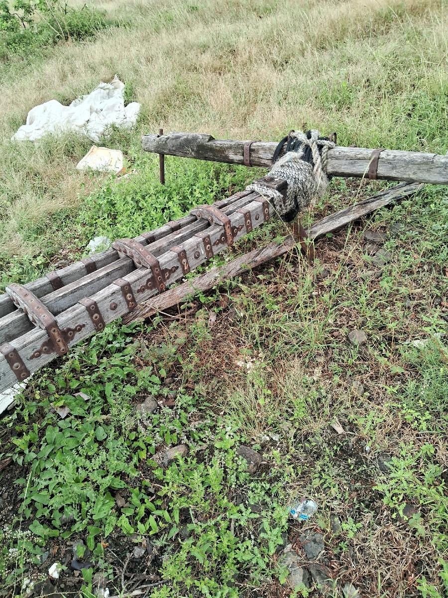 થંબનેલ 2