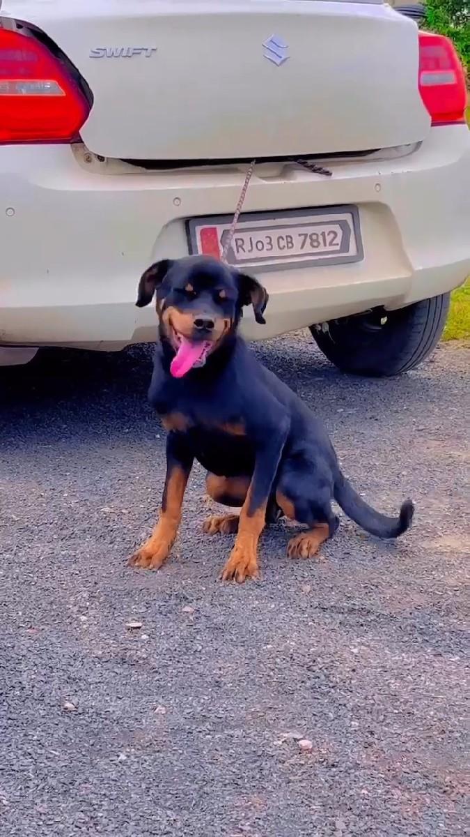 થંબનેલ 2