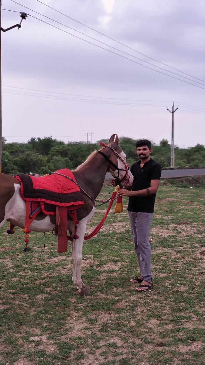 थंबनेल 3