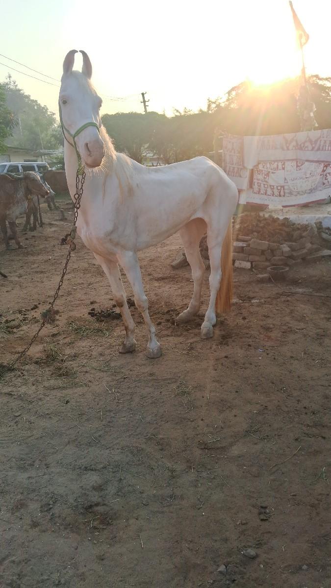 थंबनेल 2