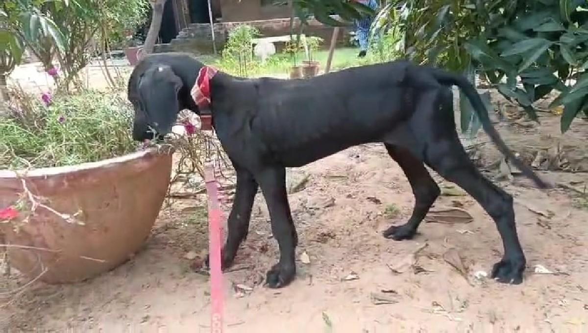 થંબનેલ 2