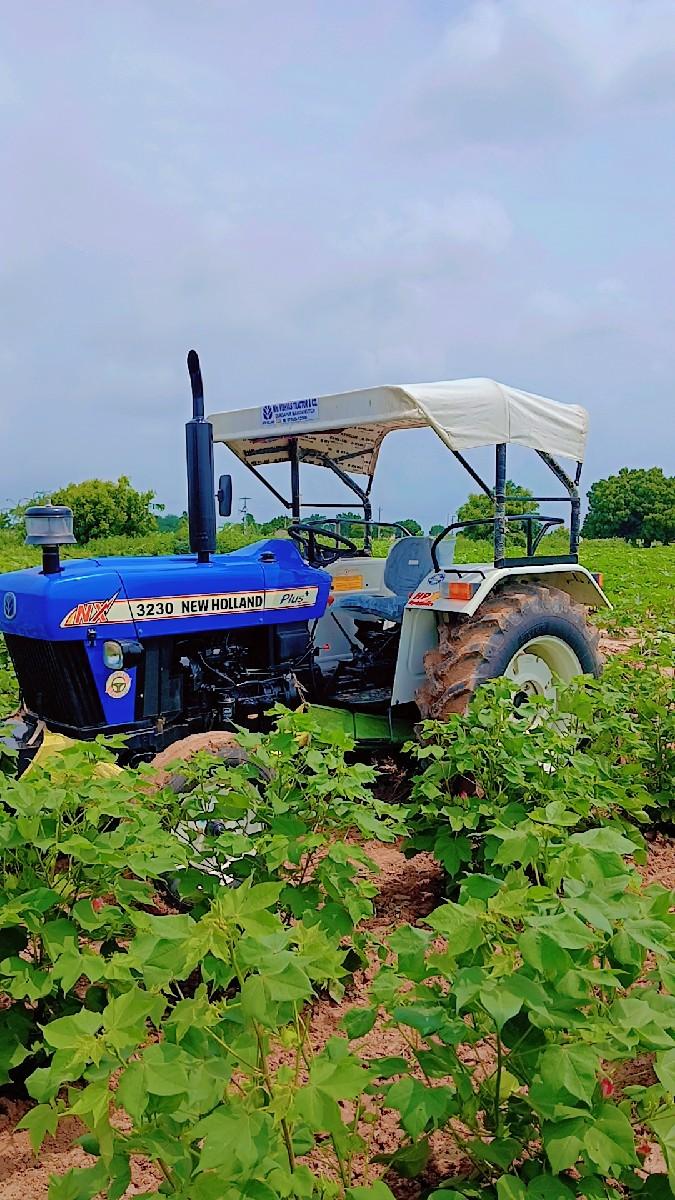 થંબનેલ 2