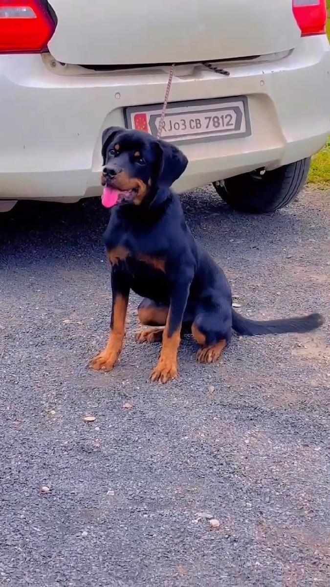 થંબનેલ 3