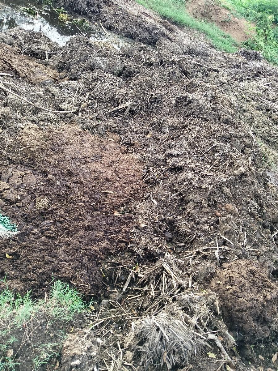 દેશી છાણીયું ખાતર