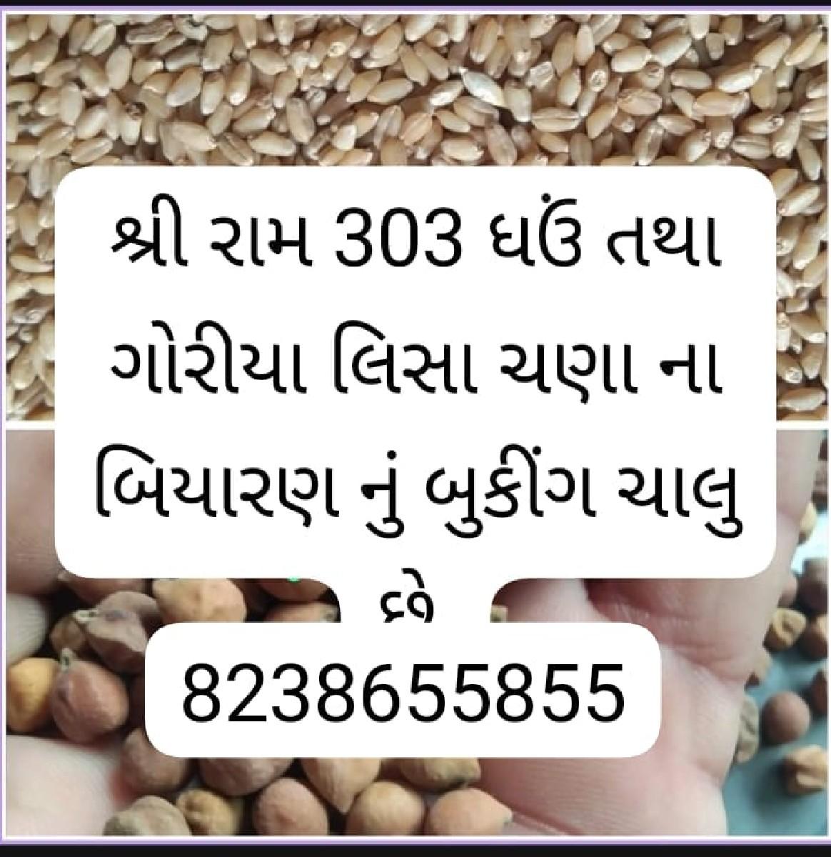 થંબનેલ 2