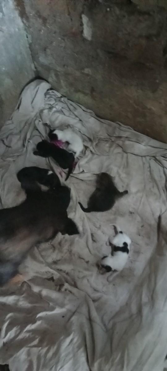 થંબનેલ 2