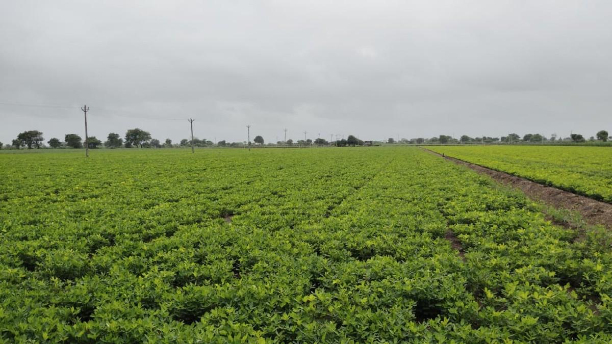 જમીન વેચાણ પાણીવારી