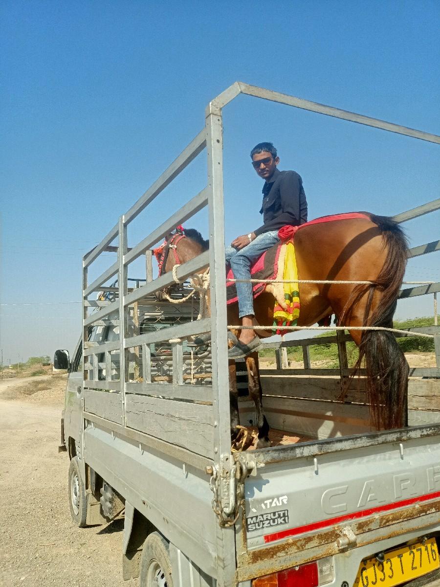 કેરી ગાડી ભાડે મળછે