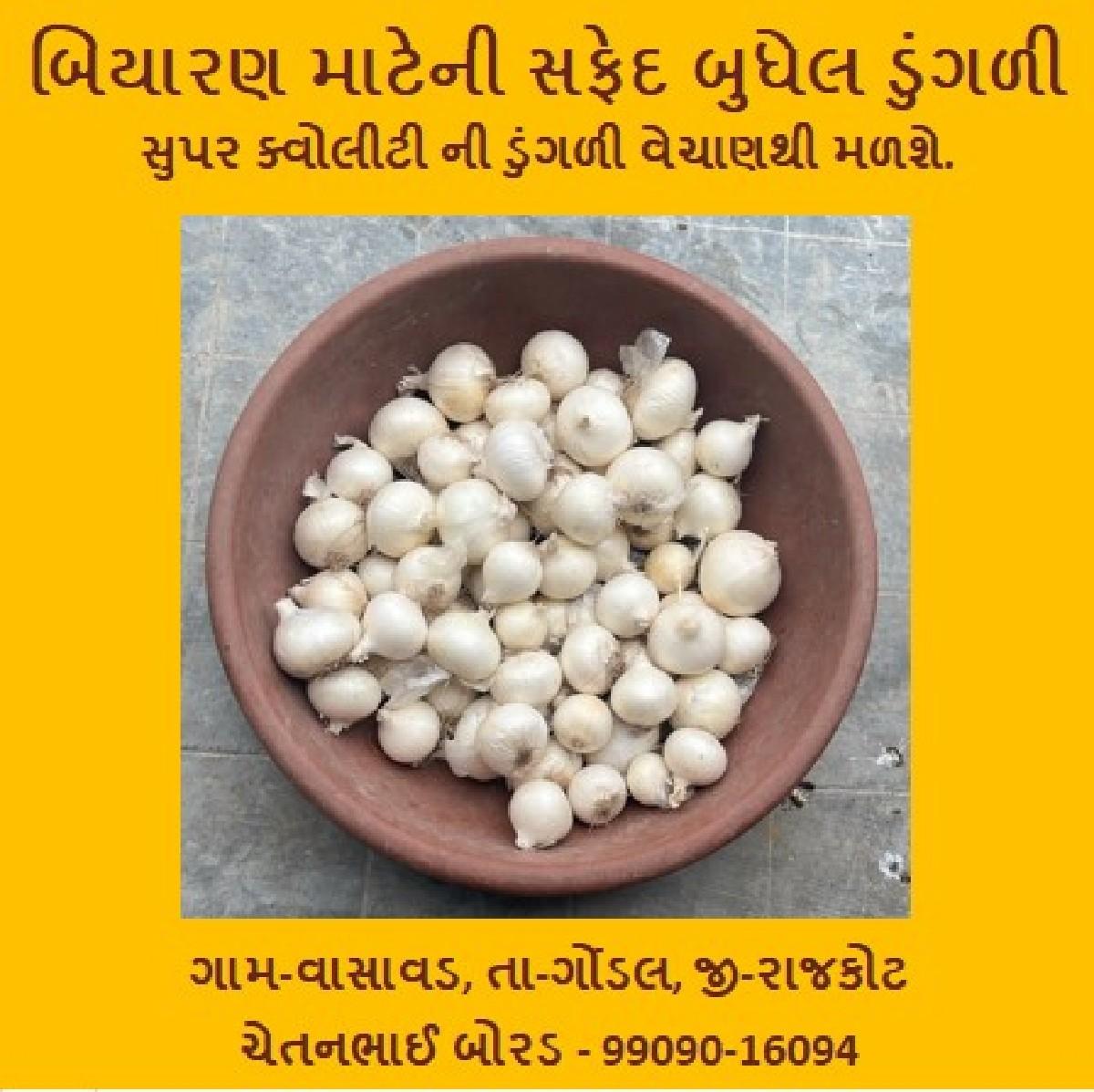 સફેદ બુધેલ ડુંગળી (બિયારણ)