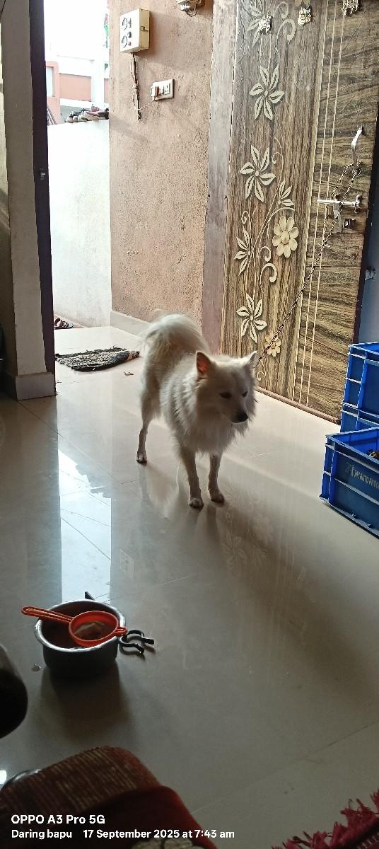 થંબનેલ 2