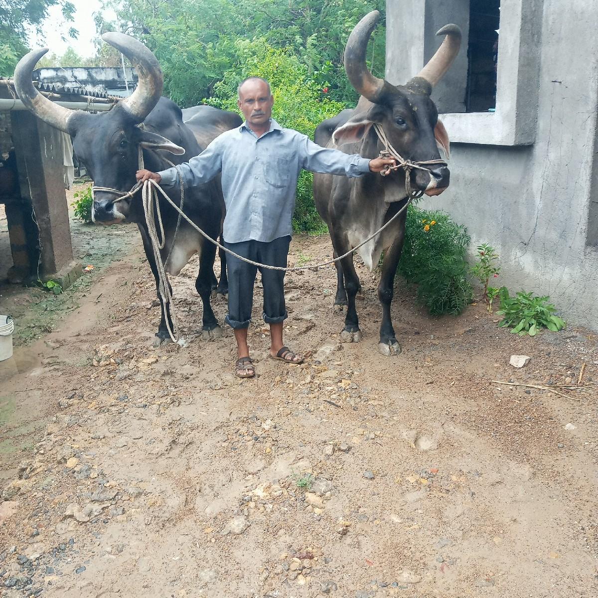 થંબનેલ 2