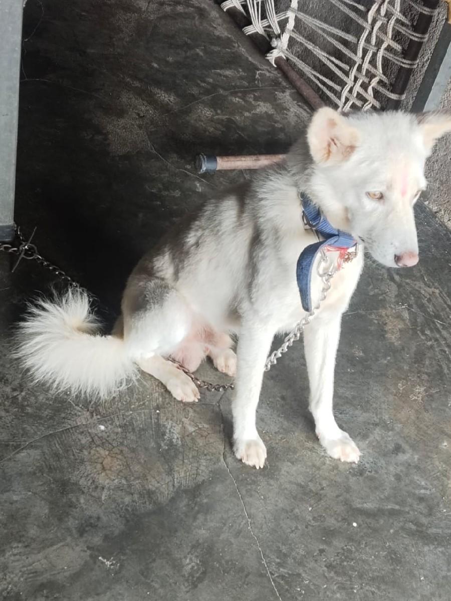 थंबनेल 3