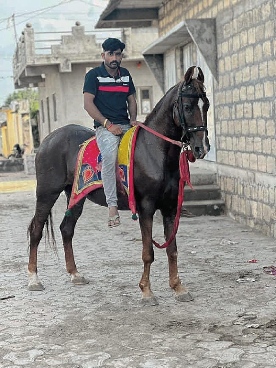 થંબનેલ 3